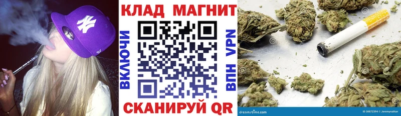 Где купить наркотики Плавск Бошки Шишки  Галлюциногенные грибы  ГАШИШ  КОКАИН 