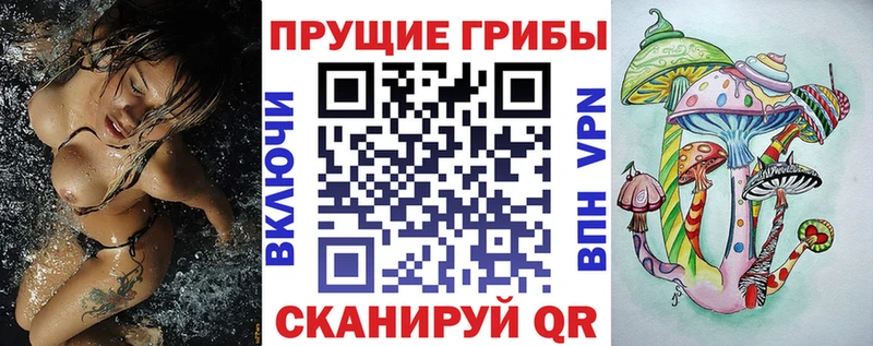 Галлюциногенные грибы Psilocybe  Плавск 
